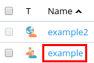 Plesk Websites & Domains Add an FTP Account Example