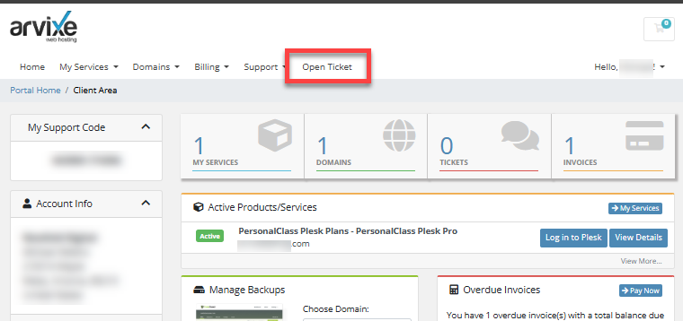 Client Area - Open Ticket